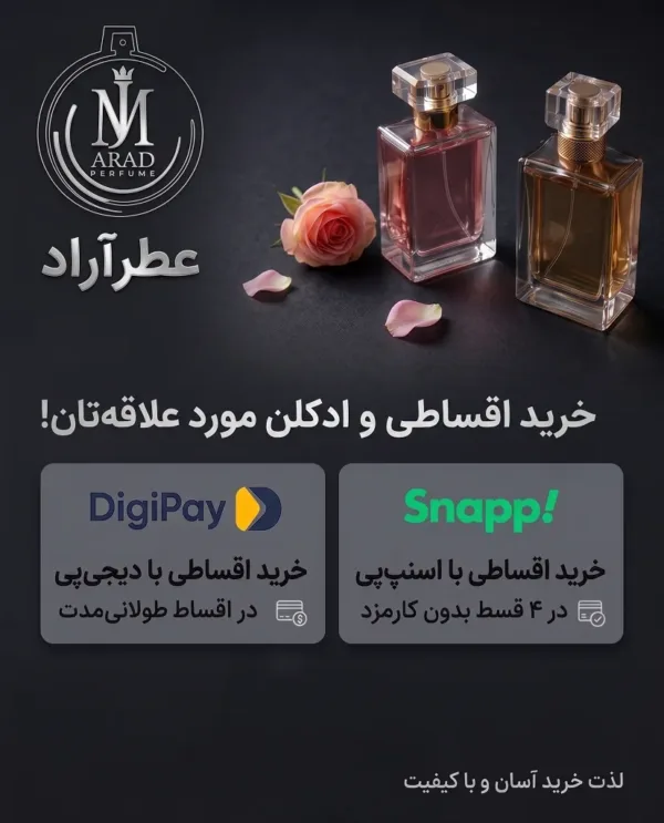 snapppaydigipaydark